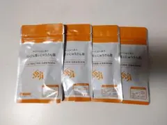 豊潤サジー サジーによくあうらくさん菌とにゅうさん菌
