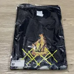 Item thumbnail for item c85f7a89-cf74-4b6e-aebd-8ae09eae5f4c