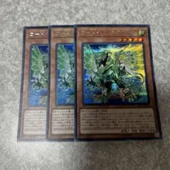 遊戯王　コードエクスポーター　シークレット　3枚　669