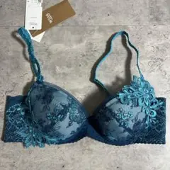 Item thumbnail for item 629f3195-abe1-4e41-b7f2-4b07cd9d4c64