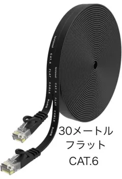 フラットLANケーブル 30メートル CAT.6