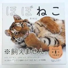 ほぼねこ RIKU 写真集