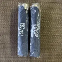 Item thumbnail for item aaeb9a65-f591-4bbc-896e-6d2990bc89c6