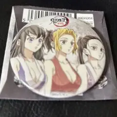 鬼滅の刃　全集中展　缶バッジ　雛鶴　まきを　須磨
