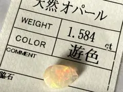 Item thumbnail for item 055fc6a4-e8b1-447a-bc4c-1b771965e8b3