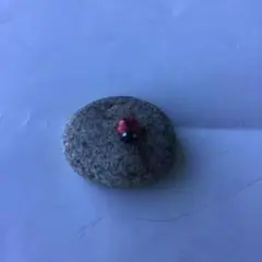 Item thumbnail for item f69aaae7-eff2-4de1-be8a-d0452500bec5