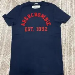 Abercrombie & Fitch Tシャツ M ネイビー