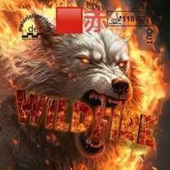 卓球 ラバー アンチ　表ソフト WILD FIRE　 ワイルドファイア R2