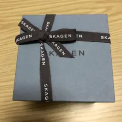 SKAGEN スカーゲン 時計箱 ラッピング