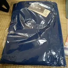 Item thumbnail for item c4a12608-d927-4a12-92e1-5a1bbd21853d