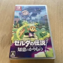 Switch ゼルダの伝説 知恵のかりもの