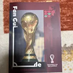 2022サッカーワールドカップ ファンガイド