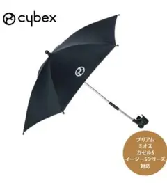 Item thumbnail for item d1ecc134-b7b8-4513-afb5-806ce18a0857