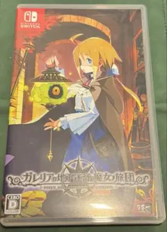 【神ゲー】ガレリアの地下迷宮と魔女ノ旅団　switch ワンオーナー品