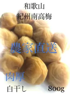 和歌山 紀州 南高梅 肉厚梅干し 無添加