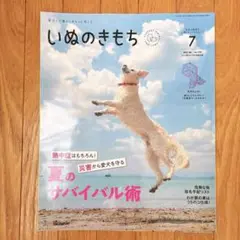 Item thumbnail for item 65ca88b7-d3e2-450d-b29a-2f19ab2dda82