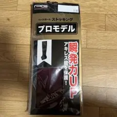 PG プロモデル ストッキング