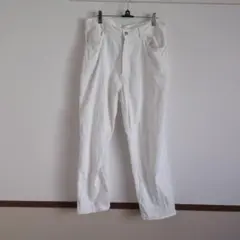 Item thumbnail for item 605d88e5-1c98-480e-82a3-d358f0df39b4