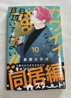 カワイイなんて聞いてない！10巻