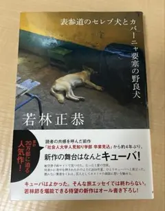 表参道のセレブ犬とカバーニャ要塞の野良犬