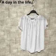 【A day in the life】ストライプ柄半袖ブラウス　白　SIZEF