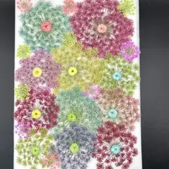 押し花素材　　3532 染め花入りミックス