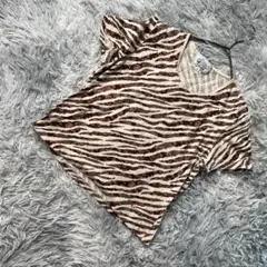 EVEX by KRIZIA ストレッチヒョウ柄Tシャツ ベージュ サイズM