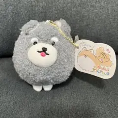 ★新品未使用品★しっぽぶんぶんシュナウザー　ぬいぐるみマスコット