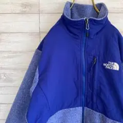 ノースフェイス フリースポーラテックデナリジャケット Mブルー 古着 アウトドア