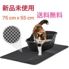 Item thumbnail for item 7c18ef7b-a05e-4d0e-8981-afbb15fc9b5d