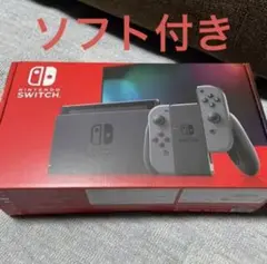 Nintendo Switch NINTENDO モンスターハンターライズ付き