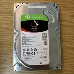 Seagate IronWolf 1TB HDD 正常判定 NAS用