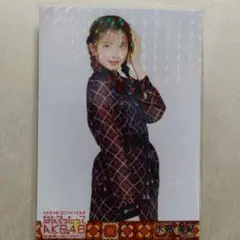 Item thumbnail for item aff51731-ec0b-4972-b267-5f793fa20bea