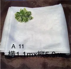 A 11 チュールレース