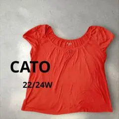 Item thumbnail for item ab2461c8-c8f3-41db-901d-cf0c1362efb0