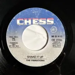 The Vibration - Shake It Up