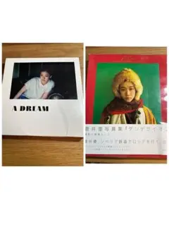 【新品❗️ 訳あり‼️】　A DREAM : 蒼井優写真集 Amazon.co.jp: 蒼井優 写真集 『 A DREAM 』 : 上田 義彦: 本