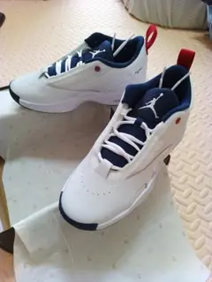 NIKE ジョーダン マックス オーラ6 26cm Q8298-100 新品