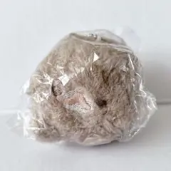Item thumbnail for item 31551585-364f-44f3-a604-68daee4fcdb7