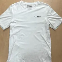 LLBean ホワイト Tシャツ Sサイズ バックプリント