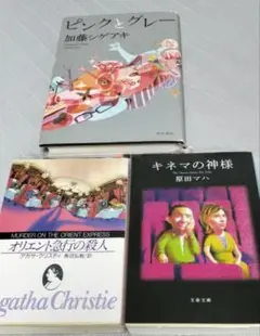小説　まとめ売り