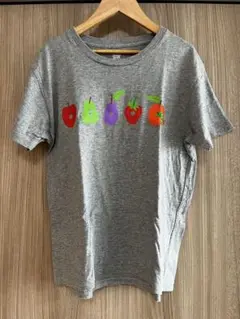 はらぺこあおむし ERIC CARLE カラフル果物Tシャツ Sサイズ