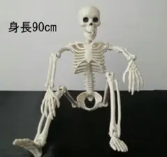 骸骨ハロウィングッズ