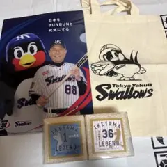 東京ヤクルトスワローズ　つば九郎　池山隆寛米　クリアファイル　トートバッグ