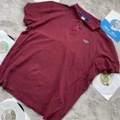HOLLISTER XL size ポロシャツ