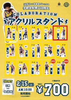 宇都宮ブレックス　アクスタ