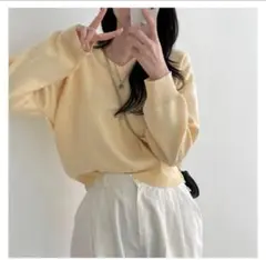 淡い黄色 Vネック ニットセーター