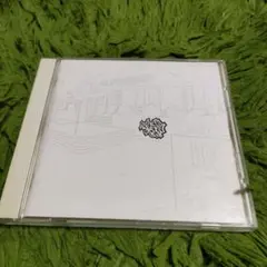 Steady＆Co. / CHAMBERS