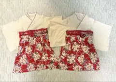 Item thumbnail for item f3556894-110c-4381-a45a-36dbdda5a063