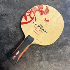 激レア 劉志文 ラケット アナトミック
